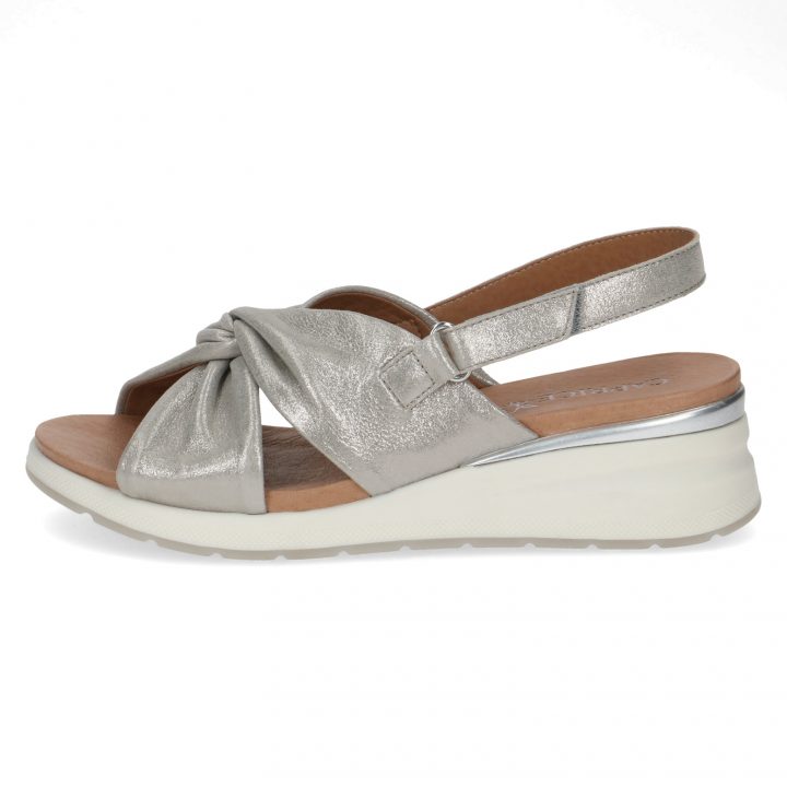 009-28300-20-248-270